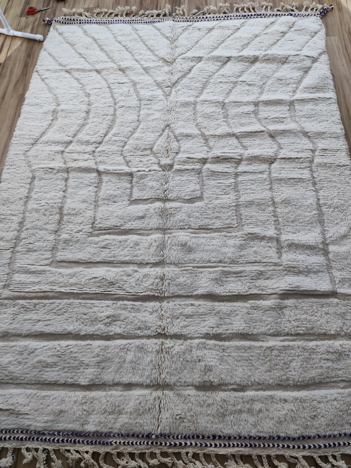 Assia — Mrirt Moroccan Rug, hung in studio