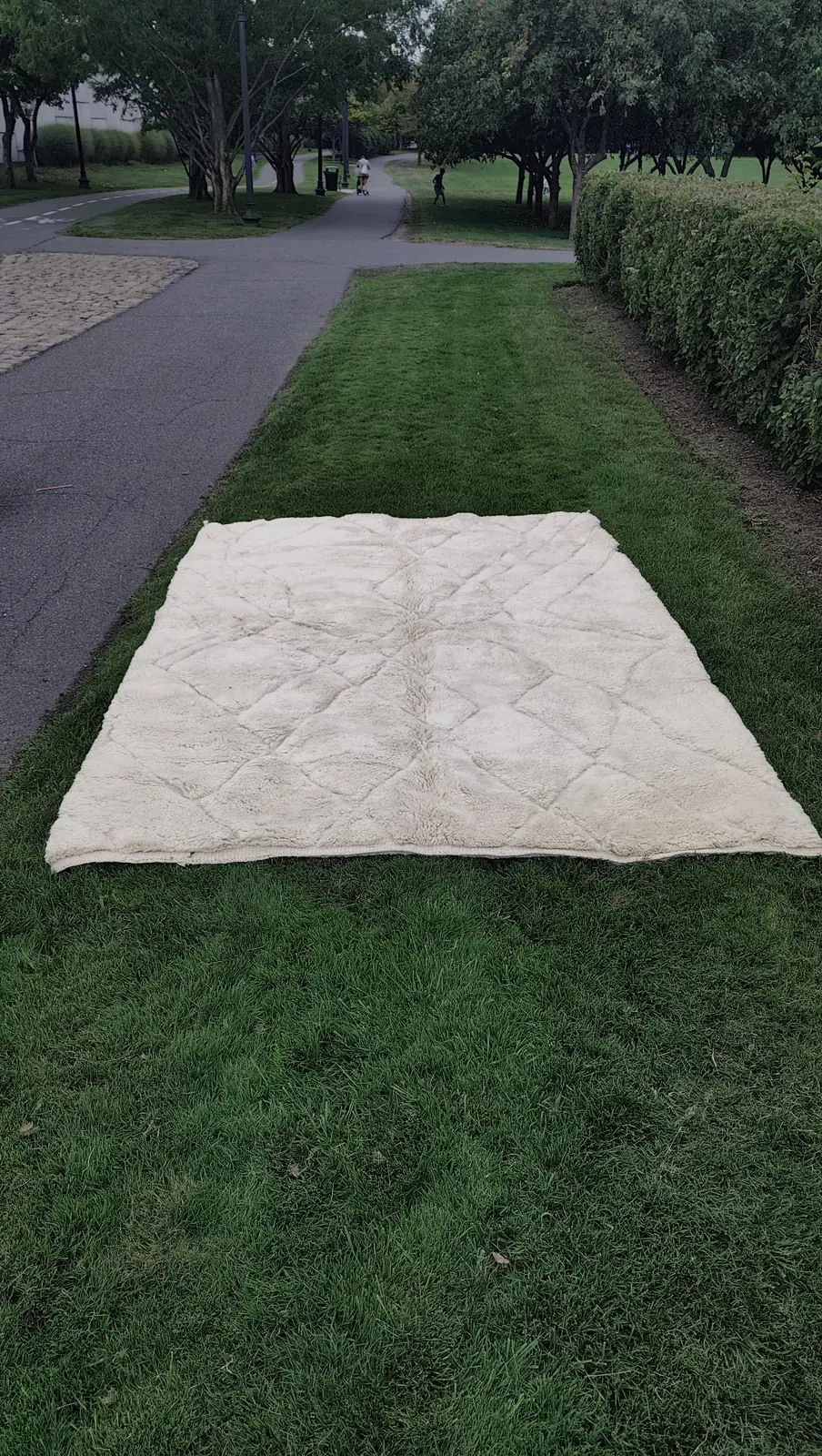 Classic ivory Beni Ourain rug with soft traditional diamond lattice and braided fringe