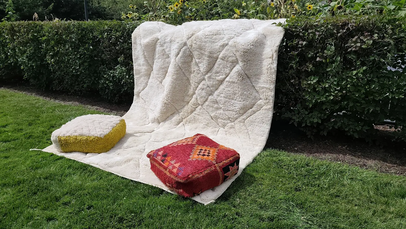 Tafsut — the same drape from a step back, the full width of the rug visible against the hedge, view 5 of 18