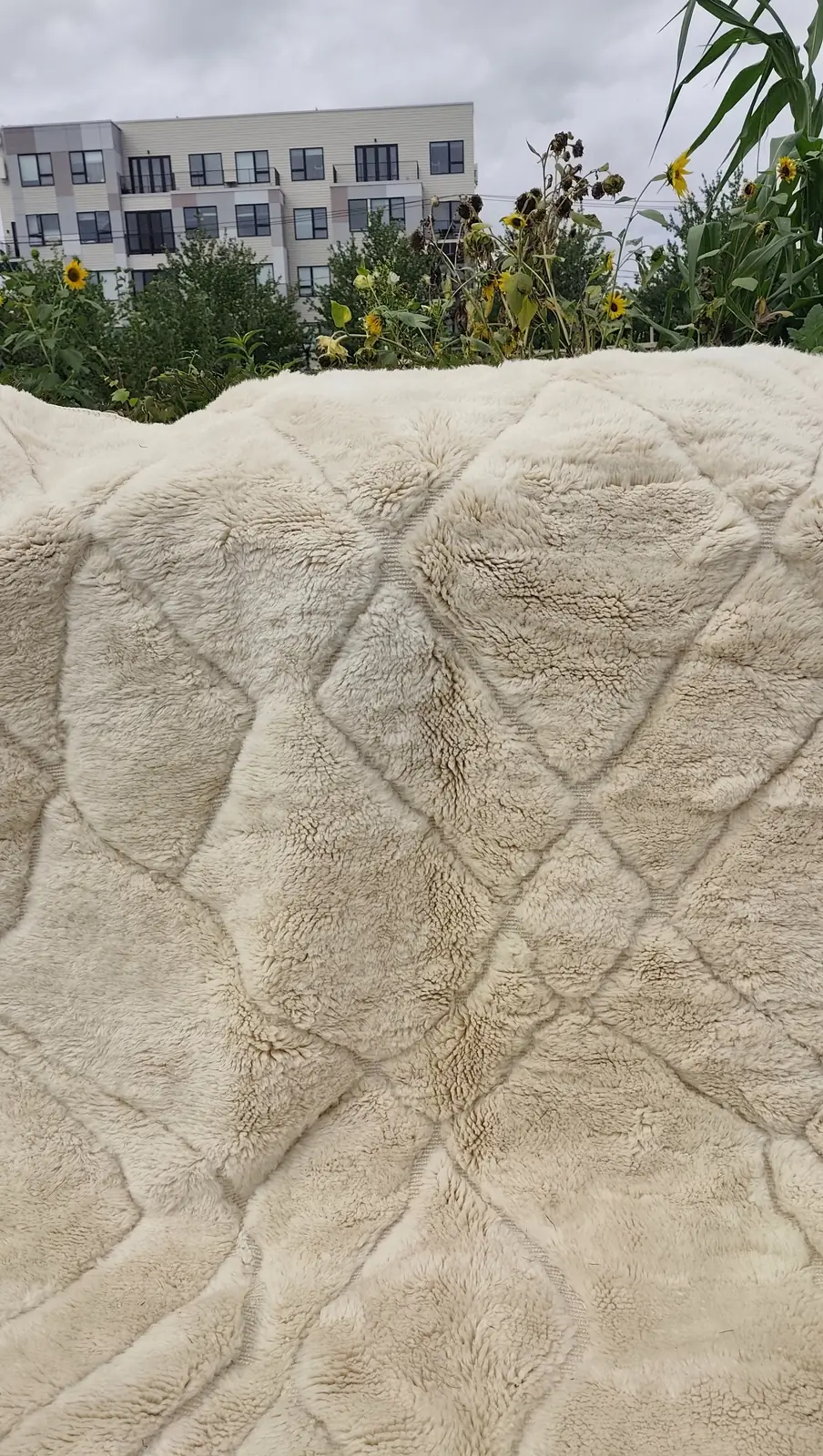 Tafsut — the pile from directly above, undyed cream with no colour anywhere in it, view 10 of 18
