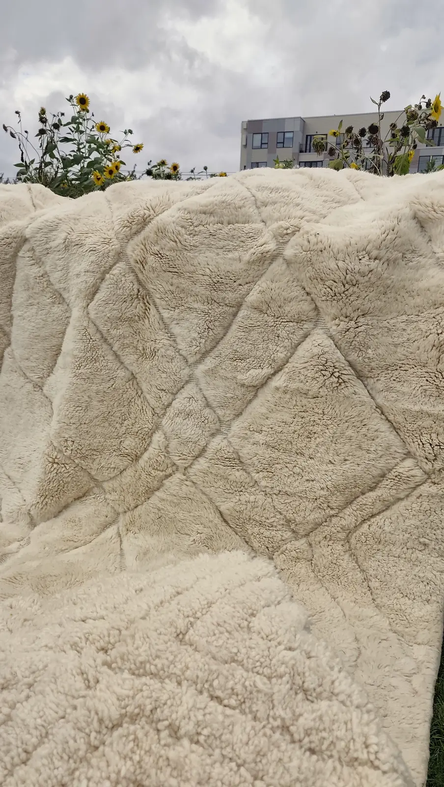 Tafsut — the surface raking across the frame, showing how deep the pile sits, view 12 of 18