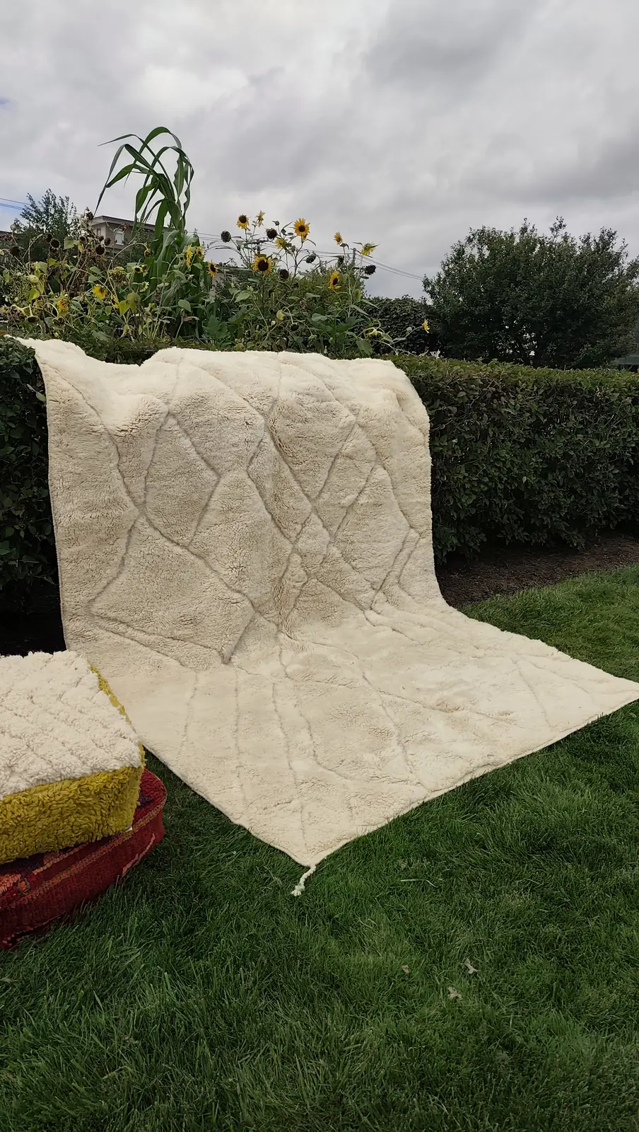 Tafsut — the rug alone on the hedge, no props, the pattern reading only where the light moves, view 15 of 18