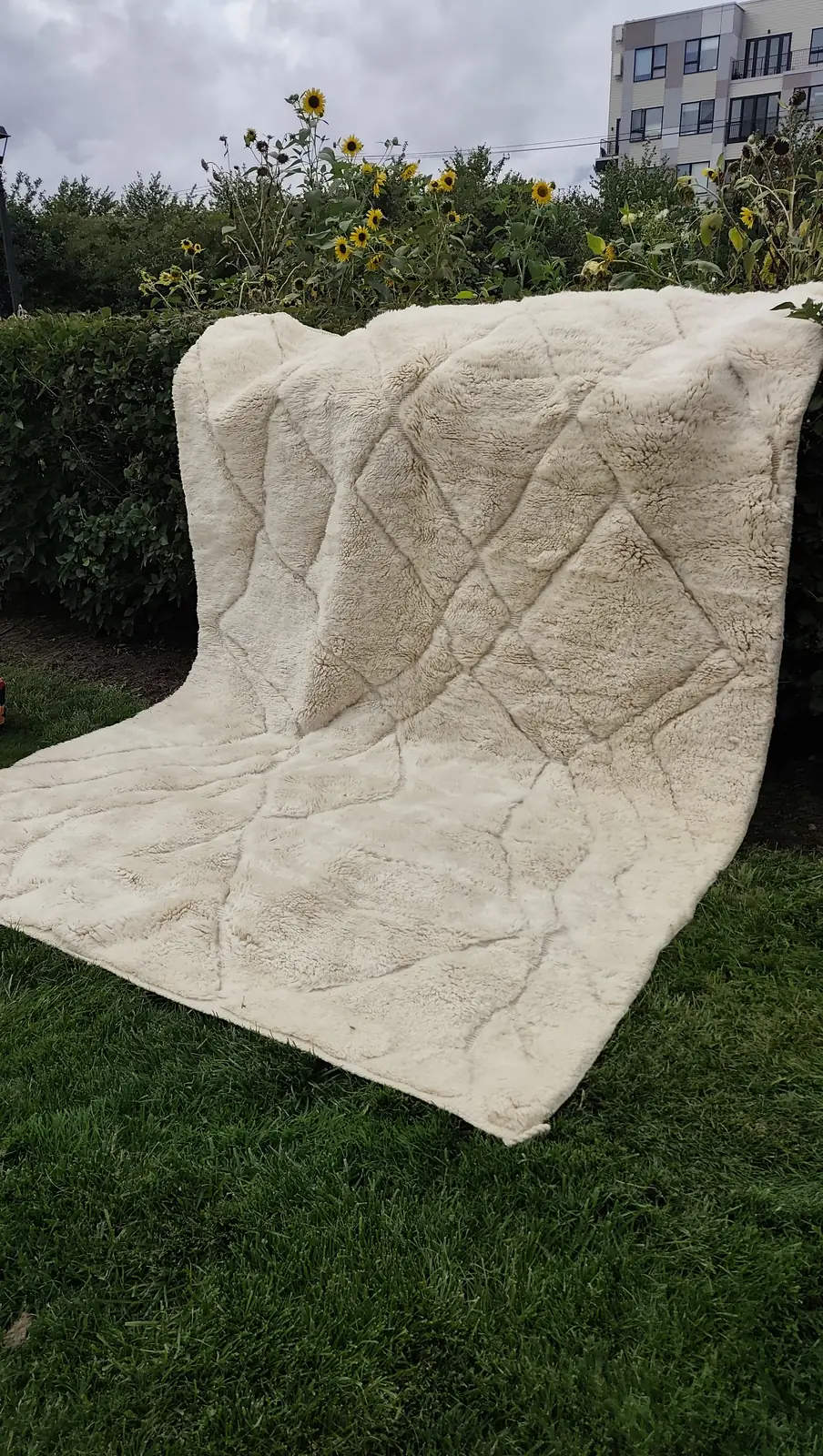 Tafsut — a square-on view of the hanging rug, its proportions clear, view 16 of 18